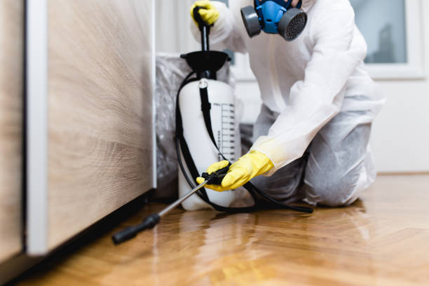 Best Wasp Removal Services  in Emporium, PA