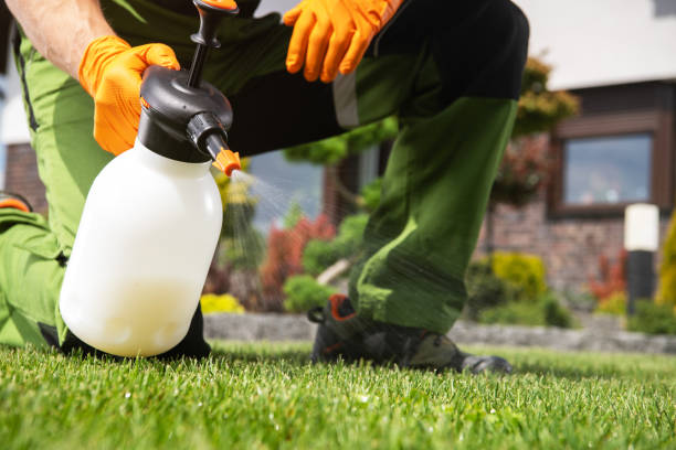 Best Best Pest Control Companies  in Emporium, PA