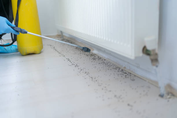 Best Affordable Pest Control Services  in Emporium, PA
