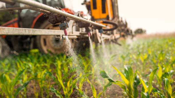 Best Mosquito Control Services  in Emporium, PA